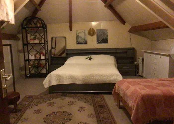 Guest house Mely's House 's-Hertogenbosch (Den Bosch)